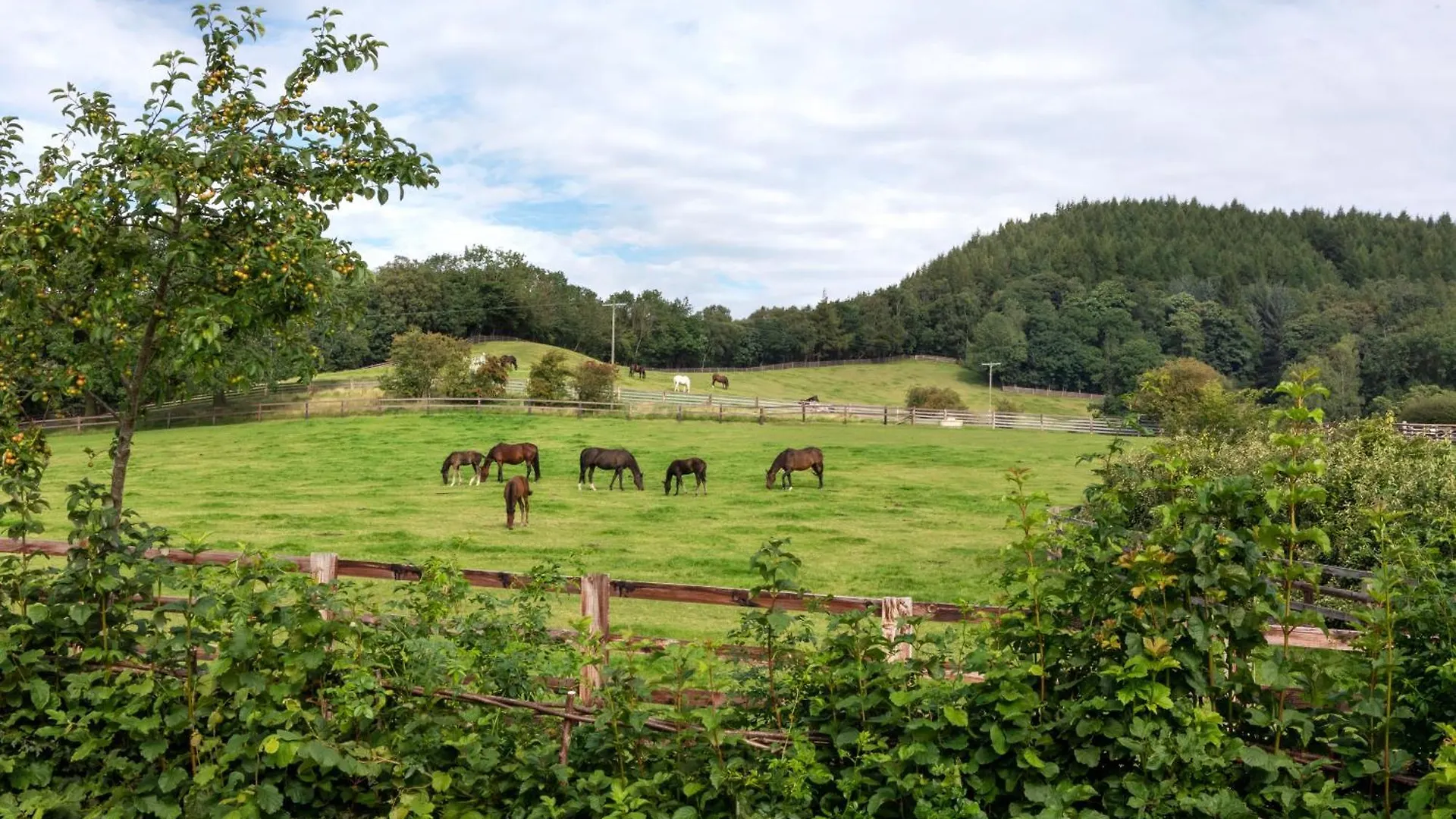 West Acre Lodge Boltby 0*,  United Kingdom