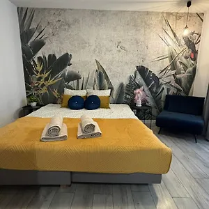 Wow! Paradise , Krakow Poland